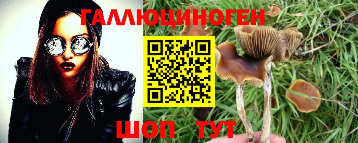 Галлюциногенные грибы Cubensis Янаул